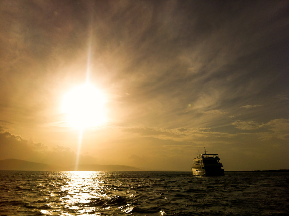 The best time to take vitamin d according to experts